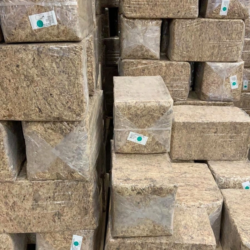 kostki 5kg sphagnum importer
