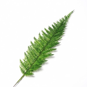 Liść paproci na drucie - BioPlant Fern Leaf 30cm