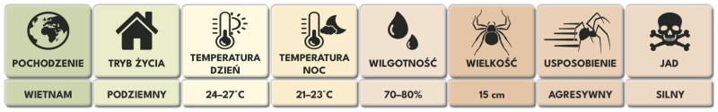 Cyriopagopus-sp.-Bach-Ma-1.png