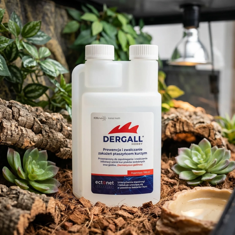 Dergall preparat na roztocza u zwierząt w terrarium