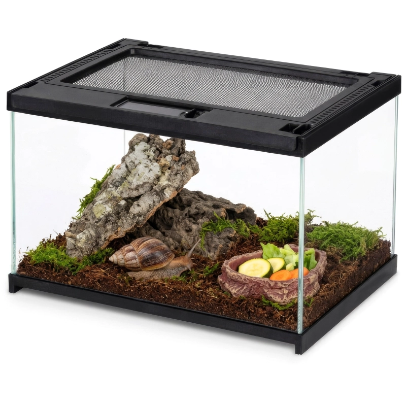 kompletny zestaw do hodowli ślimaka achatina, terrarium z wyposażniem