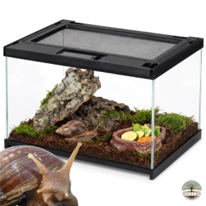 Zestaw hodowlany dla małego ślimaka | terrarium + wyposażenie 