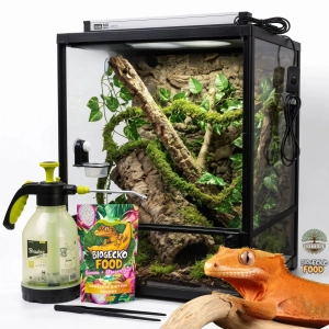Zestaw hodowlany dla gekona orzęsionego PRO | terrarium + wyposażenie