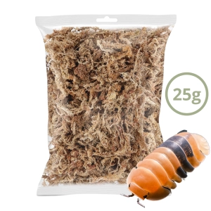 Mech torfowiec Sphagnum moss 25g