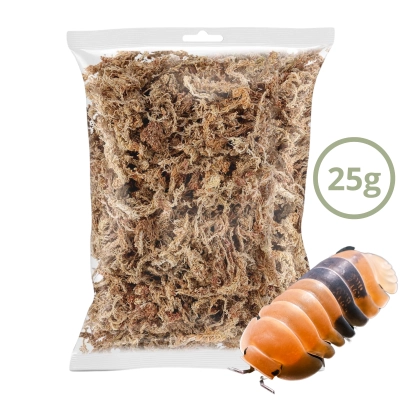 Mech torfowiec Sphagnum moss 25g