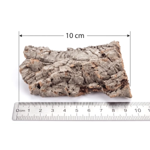 BioCork Flat Płat korkowy S -10cm - kryjówka / ścianka w terrarium