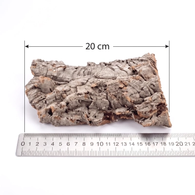 BioCork Flat Płat korkowy M -20cm- kryjówka / ścianka w terrarium