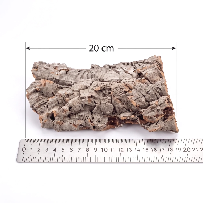 płat 20cm .webp