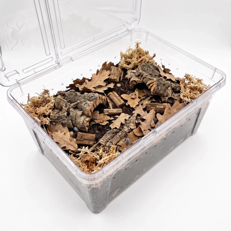 terrarium z wyposażeniem dla isopodów
