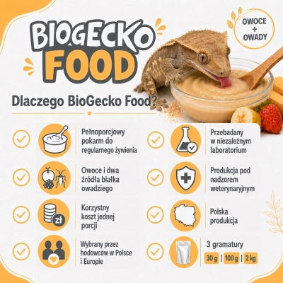 Dlaczego BGF