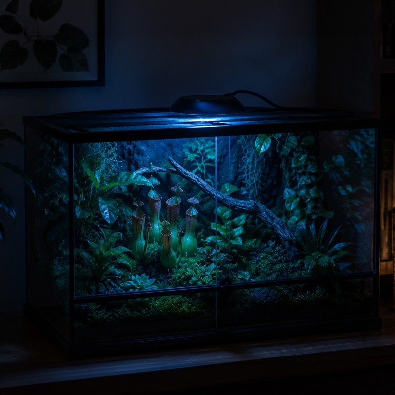 terrario-nanoray-mini-led-6w-oswietlenie-do-terrarium-3w1