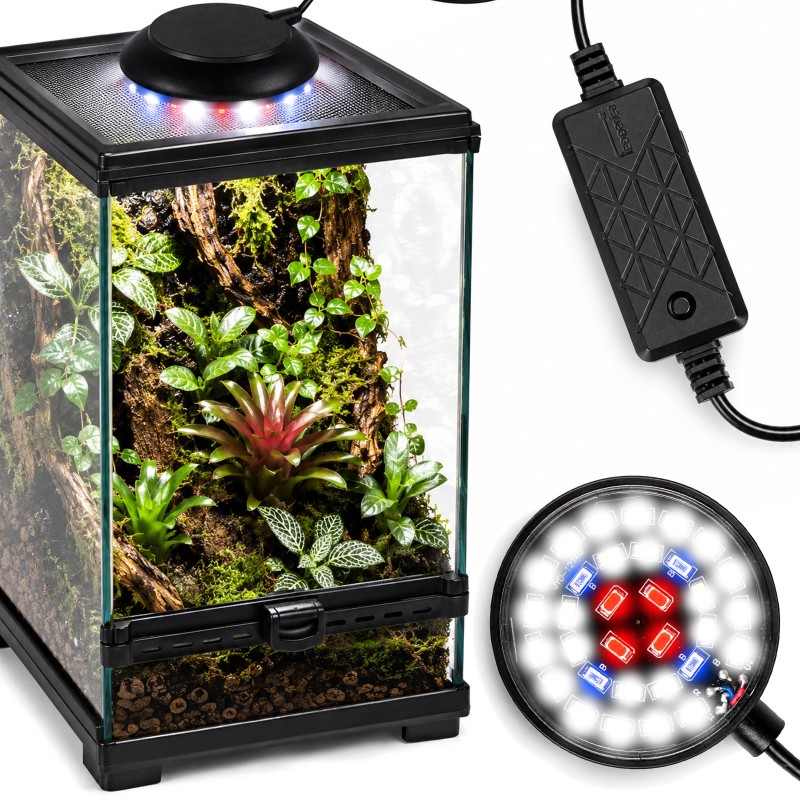 oświetlenie led do małego terrarium
