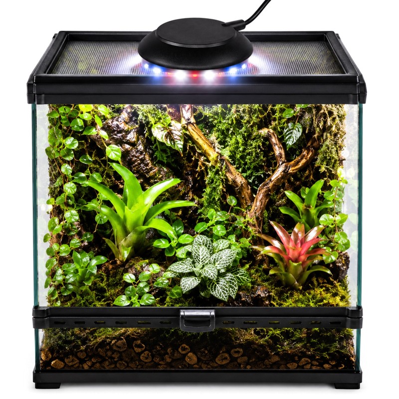 terrarium z oświetleniem mini led
