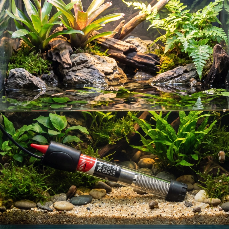 akwaterrarium z grzałką 25w