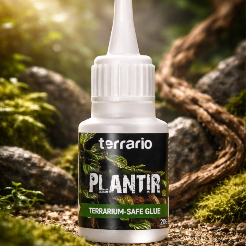 klej do roślin w terrarium