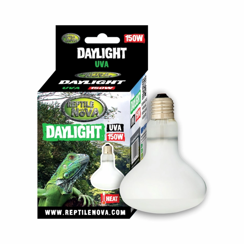 żarówka grzewcza 150w.webp