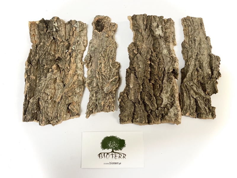 kryjowka-dla-pajaka-ptasznika-modliszki