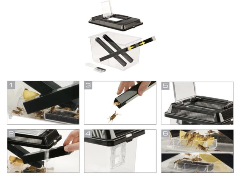 pojemnik-do-hodowli-swierszczy