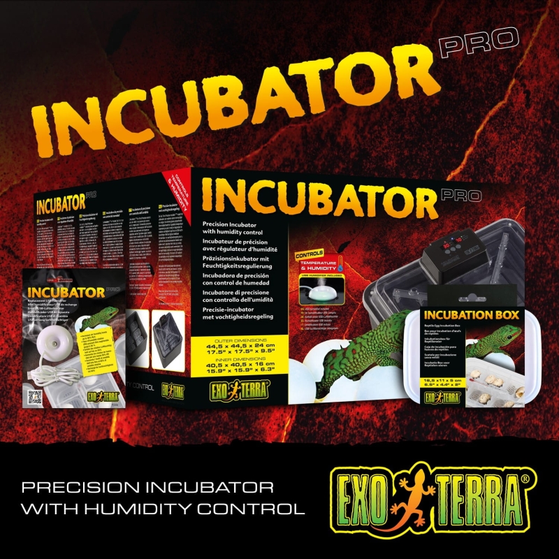 inkubator-do-jaj