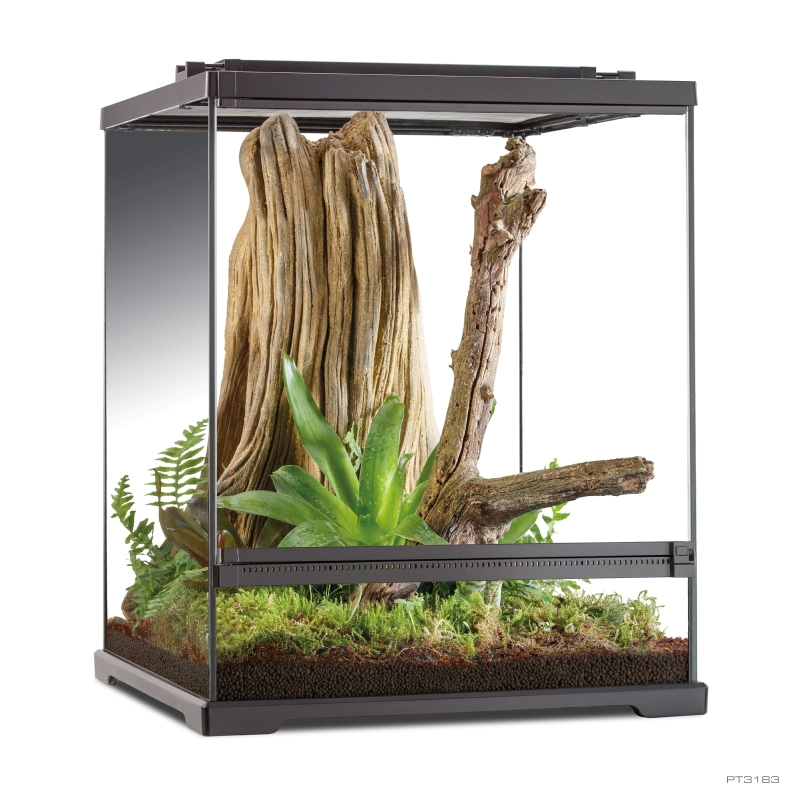 terrarium-bioaktywne