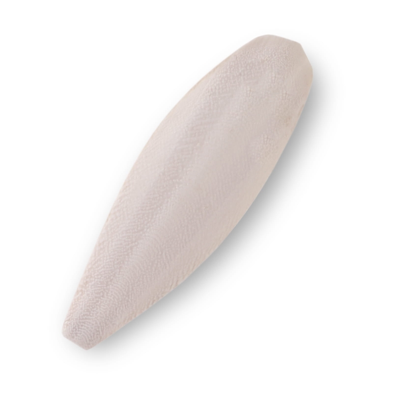 sepia-dla-gadow-sepia-dla-slimakow