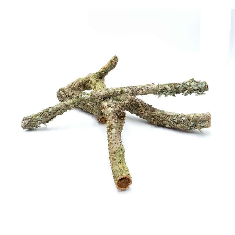 galaz-do-wspinania-dla-weza