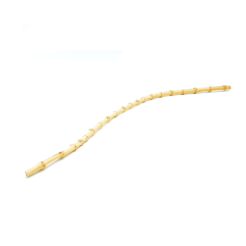 Bambus-cienka-lianka-do-terrarium