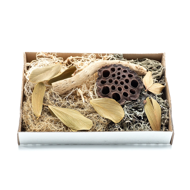 zestaw-detailingowy-pustynny-wystroj-terrarium