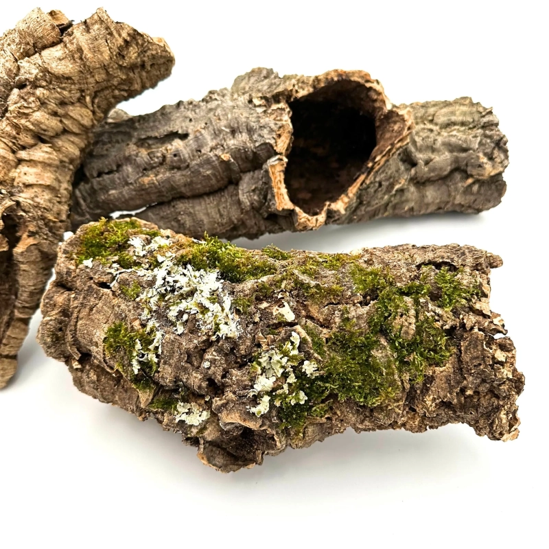 najlepsze-dekoracje-do-terrarium