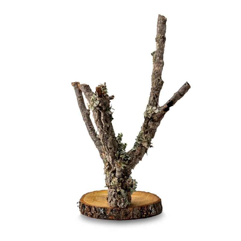 drzewko-do-terrarium