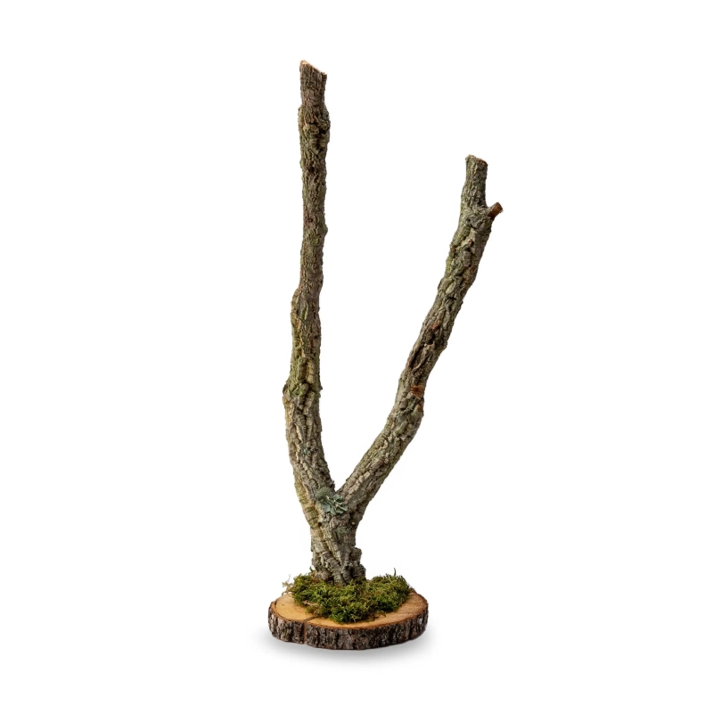 drzewko-do-terrarium