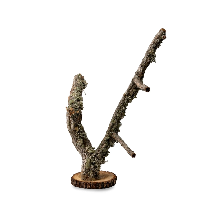 drzewo-do-wspinaczki