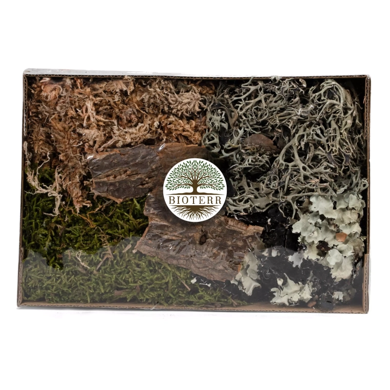 dodatki-do-terrarium-ozdoby-dekoracje-wystroj