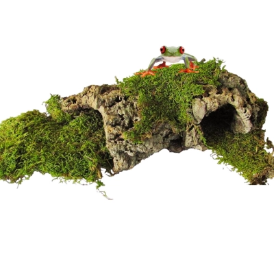 mech-do-terrarium-allegro
