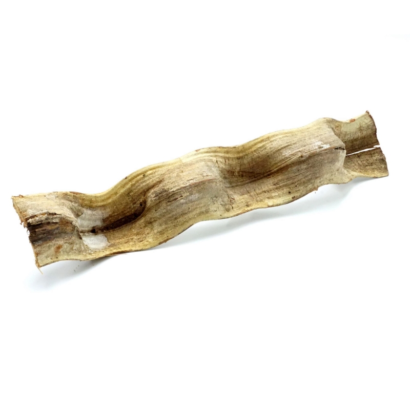 Liana-gruba-brazylijska