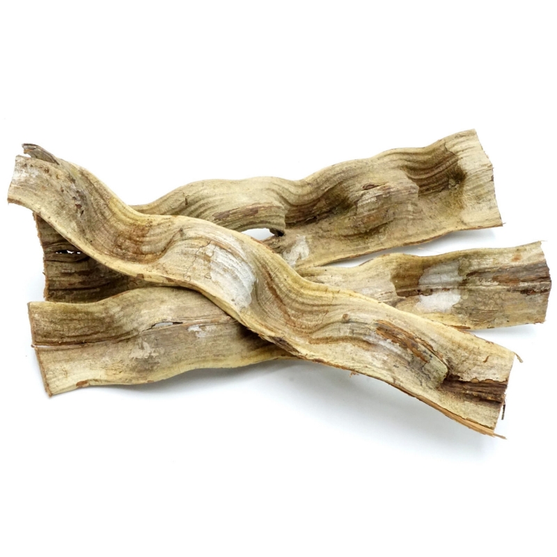 Liana-gruba-brazylijska