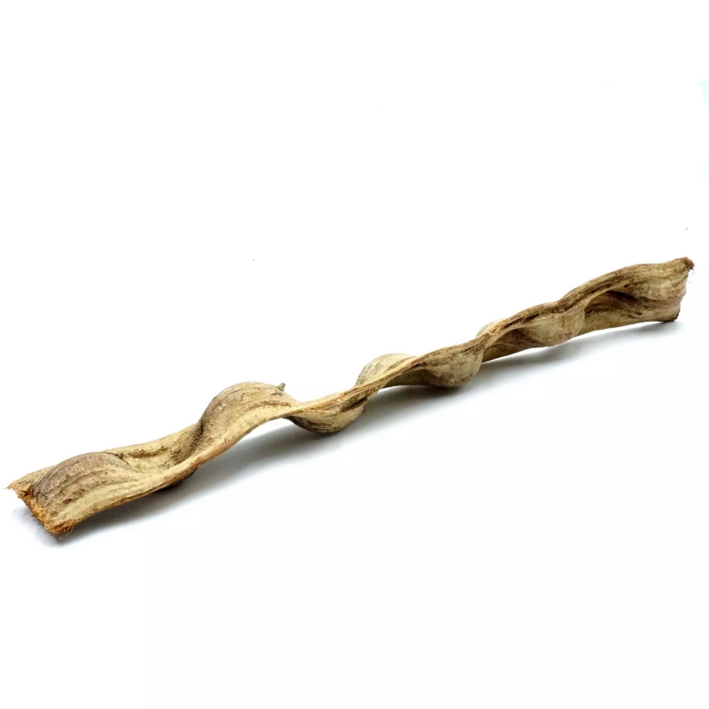 Liana-gruba-brazylijska