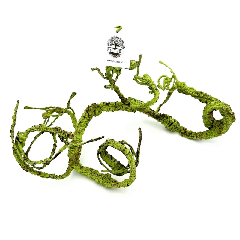 galaz-do-modelowania-zielona