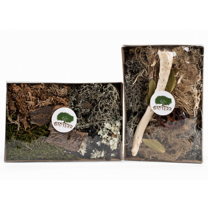 ozdoby-do-terrarium-tropikalnego