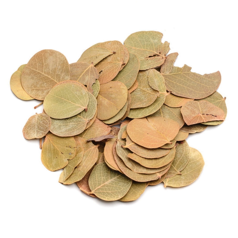 listki-do-terrarium-bioaktywne