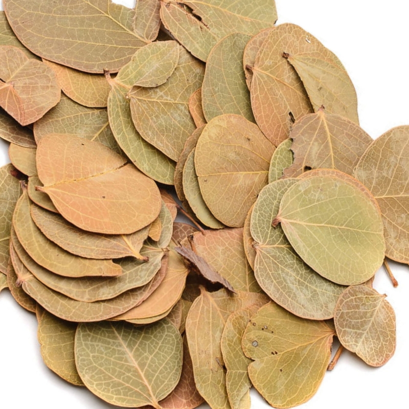 listki-do-terrarium-bioaktywne