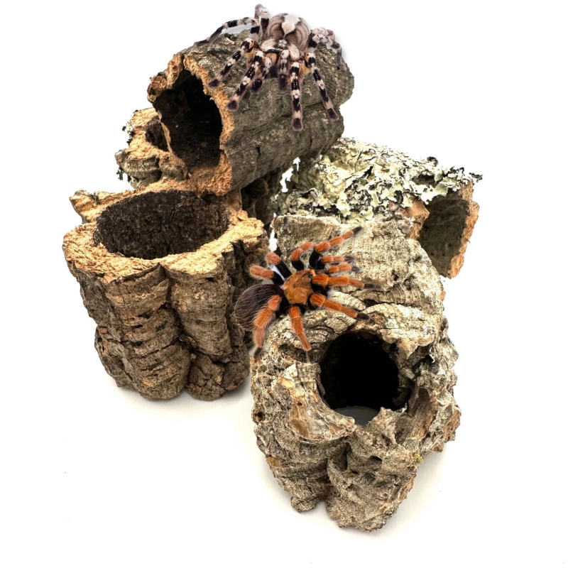 Jaskinia-do-terrarium-dla-pajaka-ptasznika
