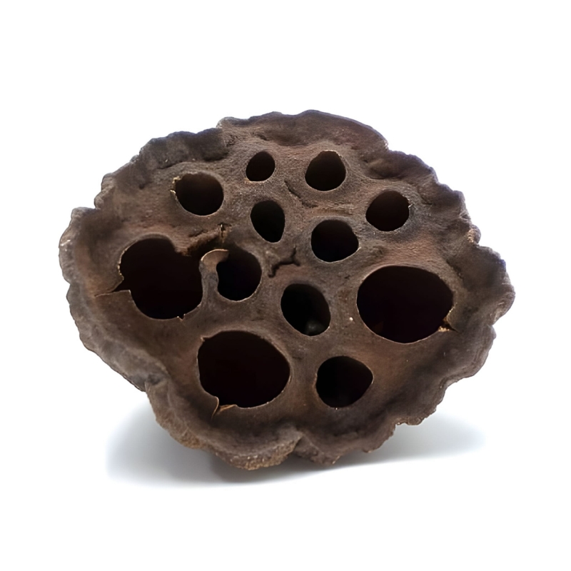 ozdoba-do-terrarium