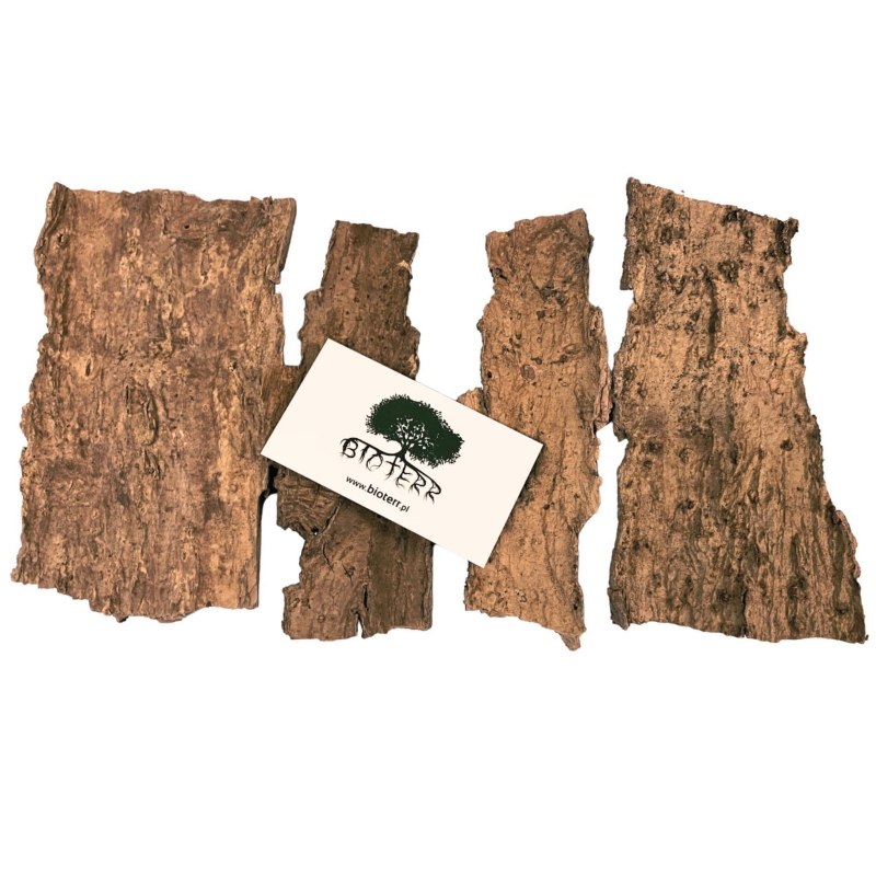 kryjowka-dla-pajaka-ptasznika-modliszki