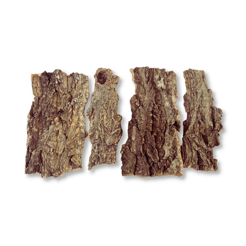 kryjowka-dla-pajaka-ptasznika-modliszki