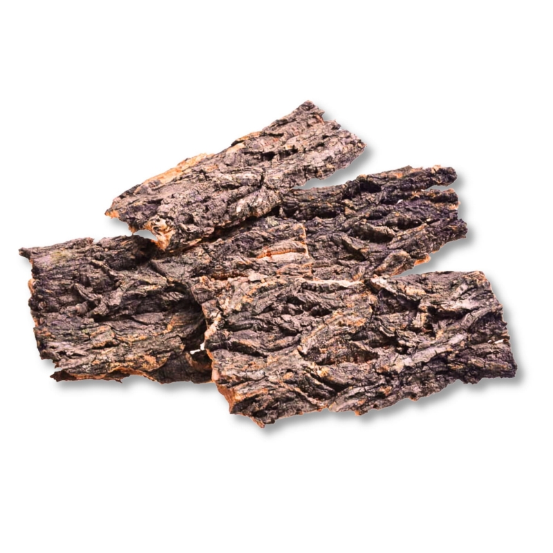 kryjowka-dla-pajaka-ptasznika-modliszki