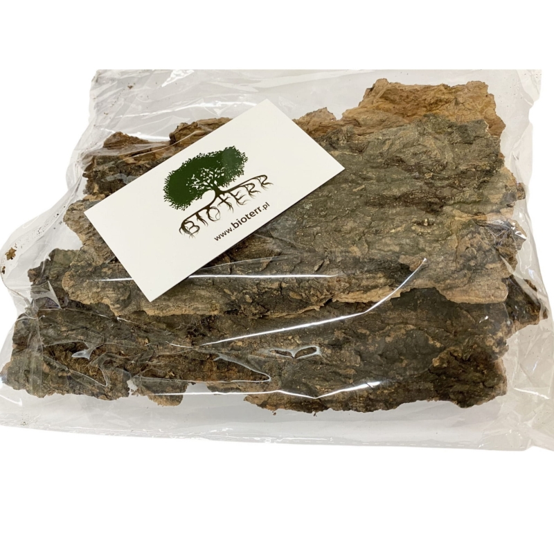 kryjowka-dla-pajaka-ptasznika-modliszki