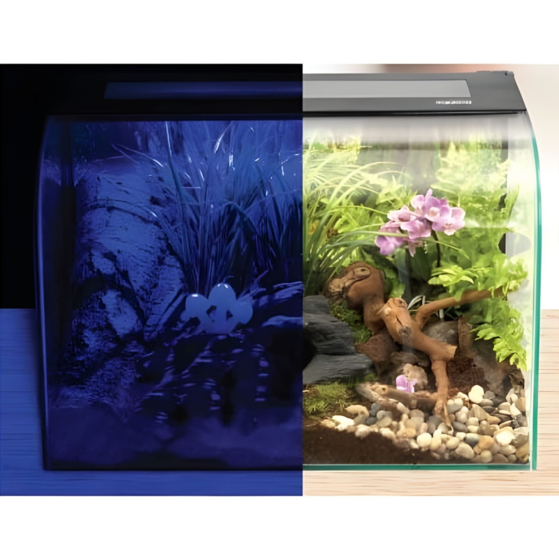 zarowka-grzewcza-na-noc-do-terrarium