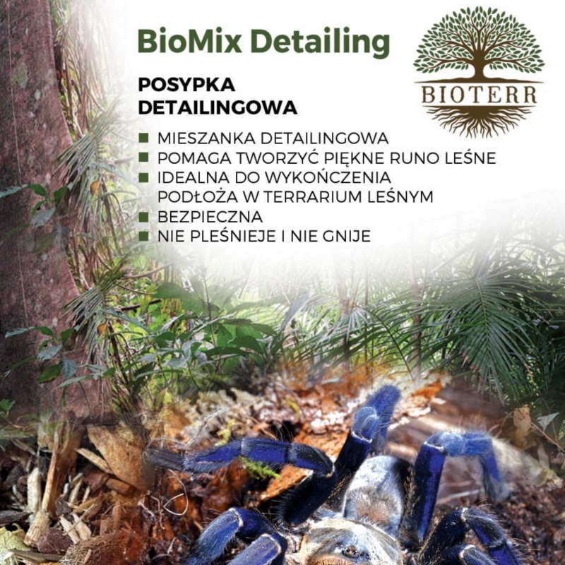 posypka-detailingowa-na-podloze-egzotyczna-naturalna-terrarium-Bioterr