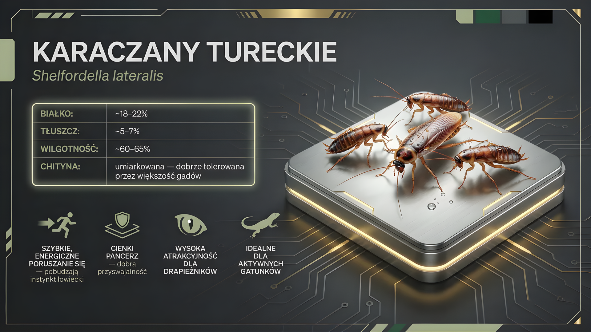 KARACZAN-TURECKI